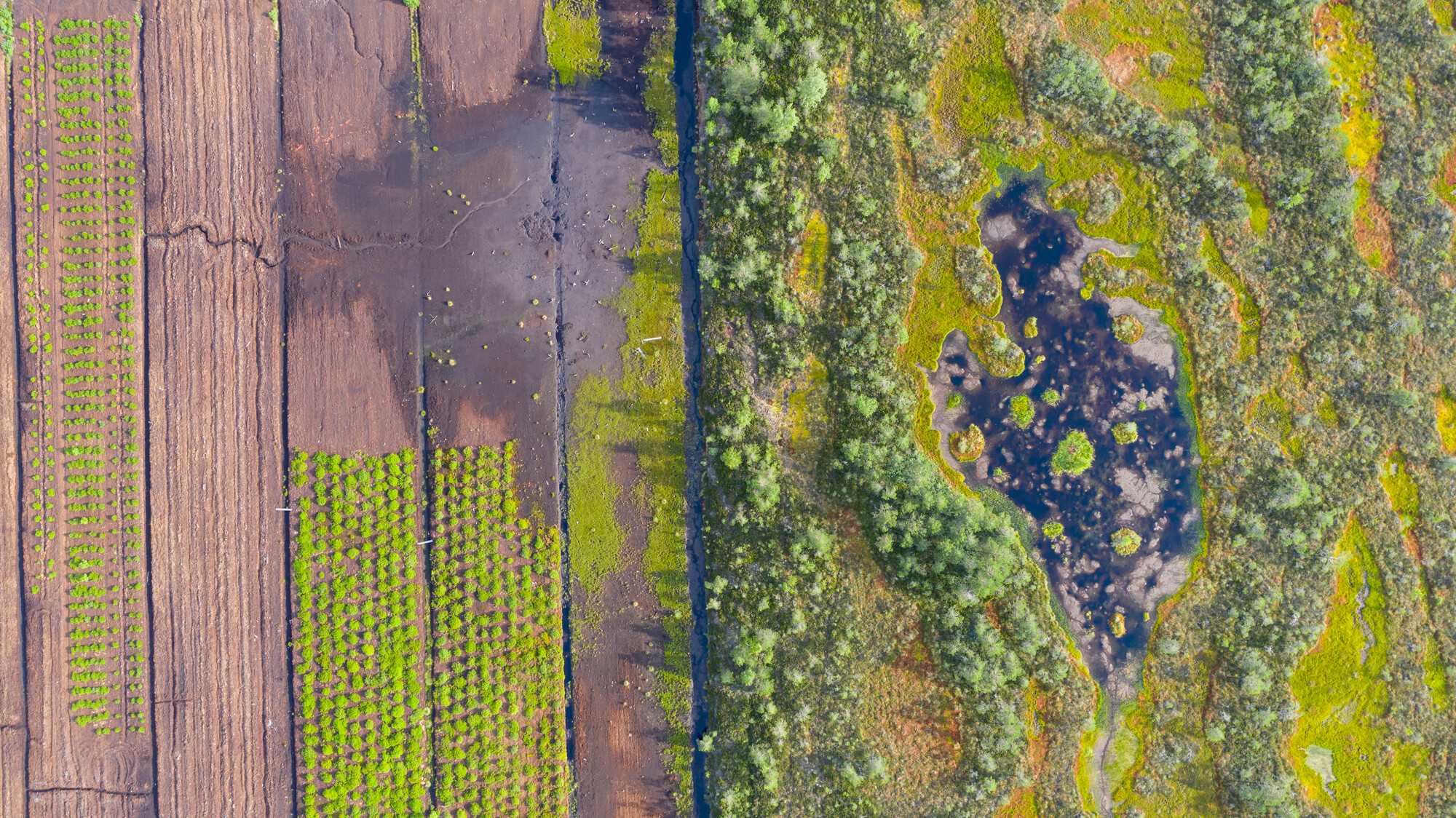 Case Study 14. Geography and Environmental Studies Ulster University