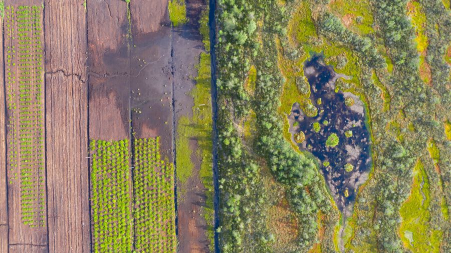 Case Study - 14. Geography and Environmental Studies image