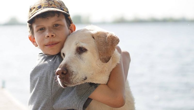 boy and a dog