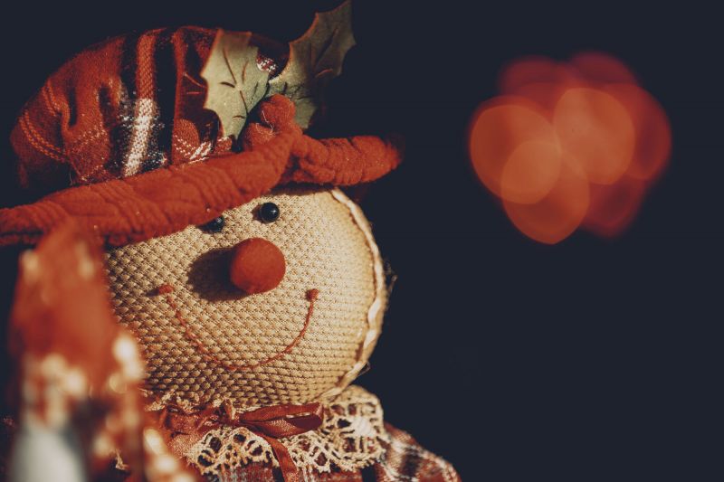Christmassy Pets  image