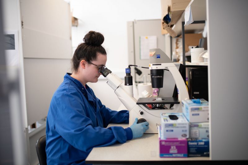 Working to improve dementia diagnosis and develop new treatment strategies for Alzheimer’s disease image