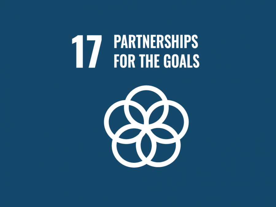 Partnerships for the Goals – Strengthen global partnerships for sustainable development image