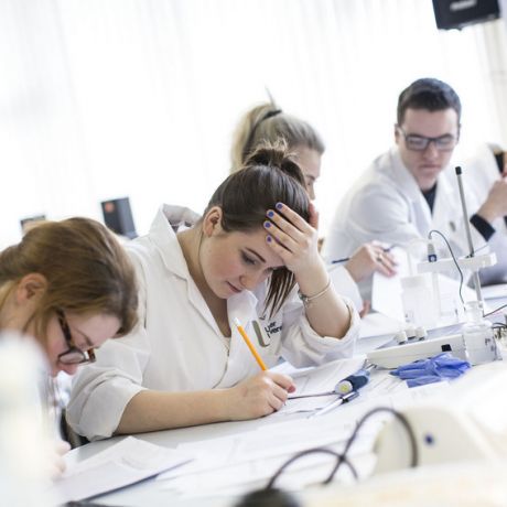 Undergraduate study in School of Biomedical Sciences
