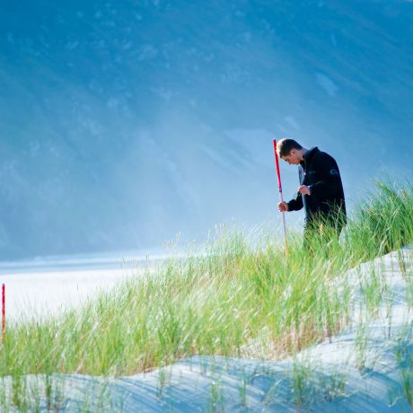 Undergraduate courses in the School of Geography and Environmental Sciences