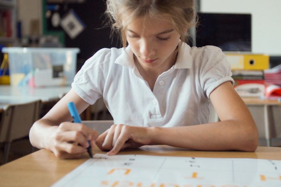 Mathematical Achievement in Primary School Children image