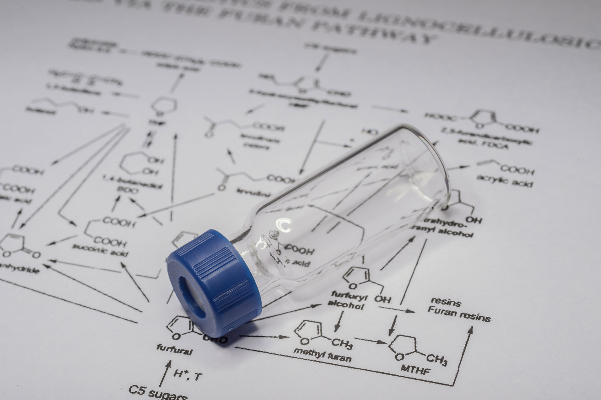 BMS111 Analytical Chemistry Workshop
