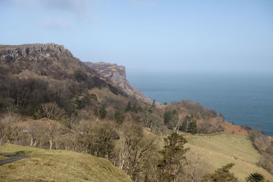 Ulidia 7 image