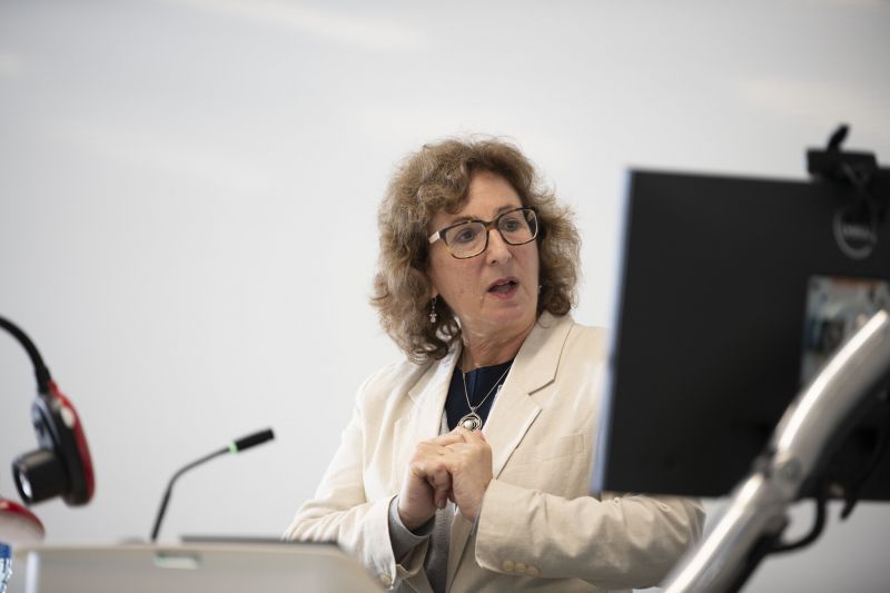 Reproductive Rights at Risk: Seminar with Prof Alison Brysk image
