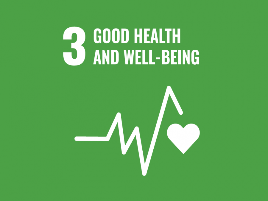 Good Health and Well-Being – Ensure healthy lives and promote well-being. image