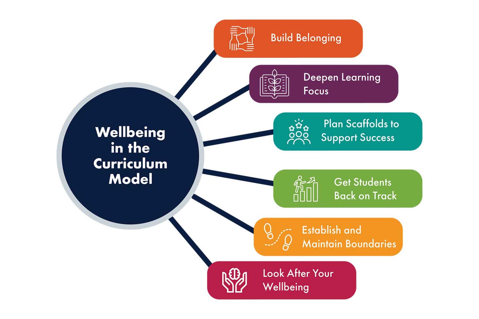 This graphic shows the wellbeing in the curriculum model that is described above.
