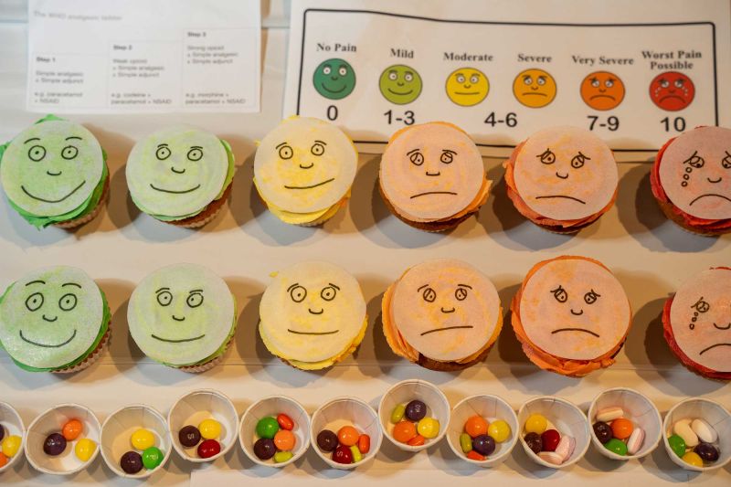 Rate Your Pain - Emily Brownhill, Faculty of Life and Health Sciences