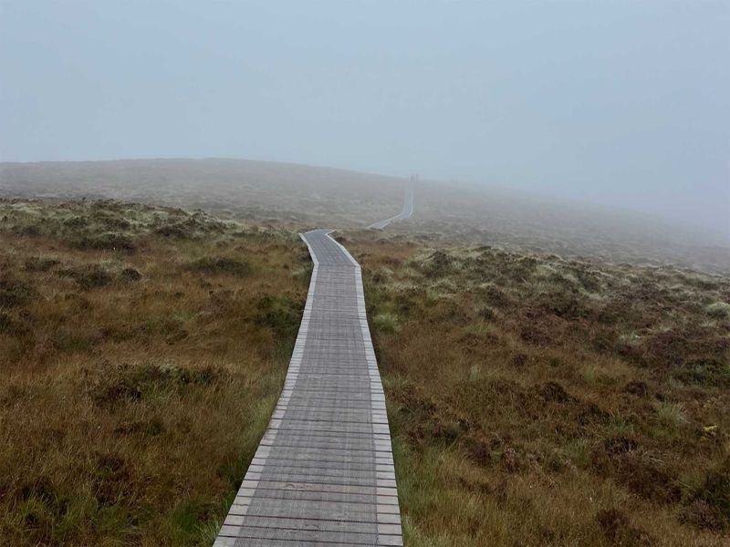 (Winner) Stairway to Heaven, Culicagh.​ The Path is Real. What it crosses is not. - Majid Liaquat, School of Computing