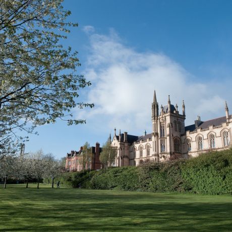 Courses at Magee
