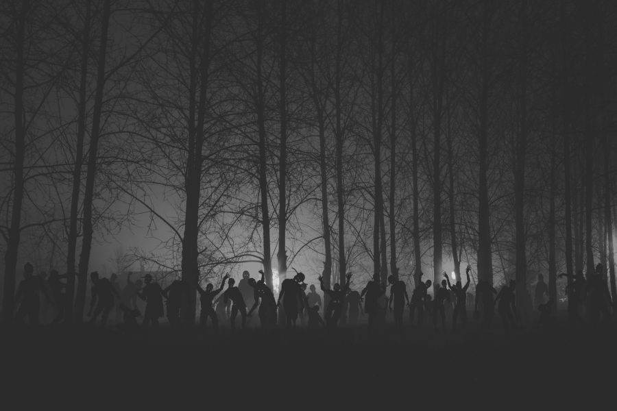Theorizing Zombiism Conference- The Derry Edition image