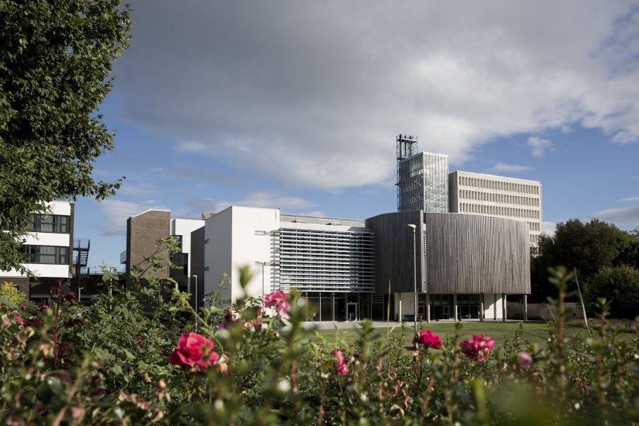 Ulster University Researchers Appointed to REF 2029 Panels in Recognition of Research Excellence image