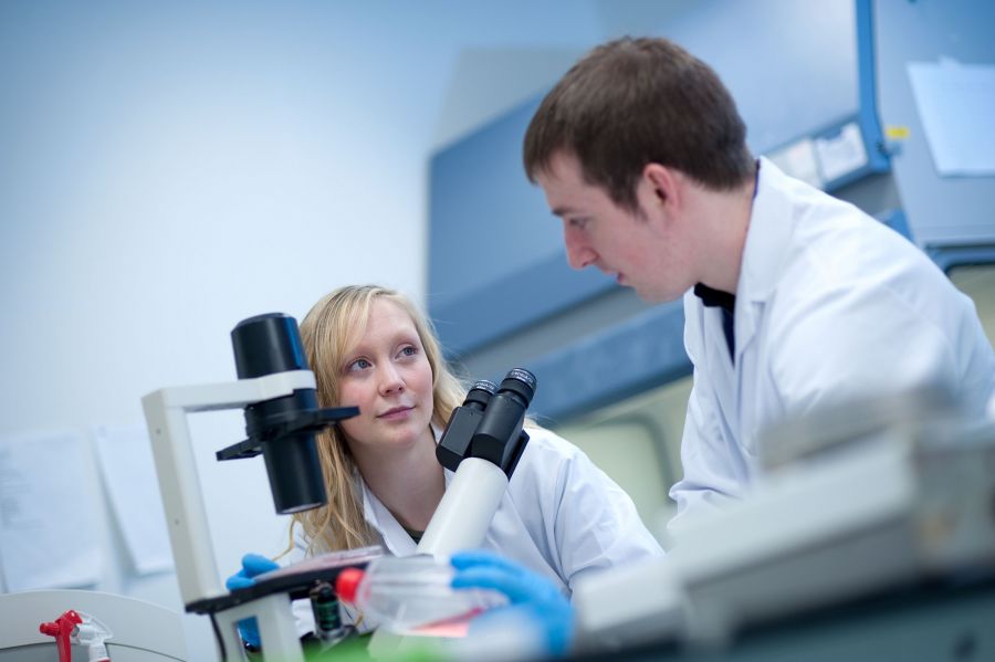 About the Nutrition Innovation Centre for Food and Health image