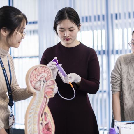 Partner Medical School
