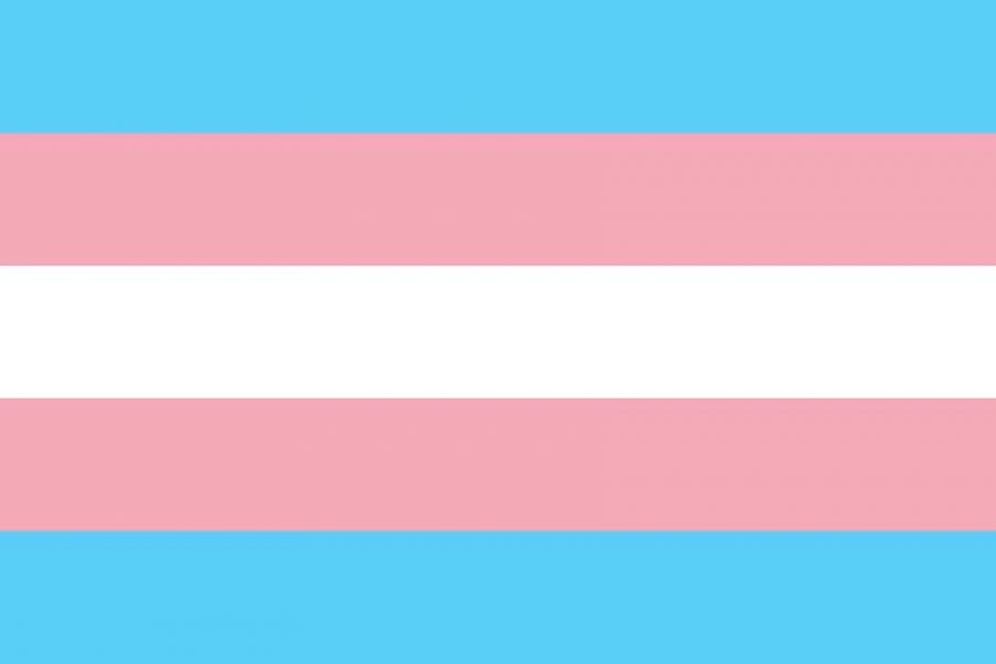 International Transgender Day of Visibility – Wednesday 31 March image