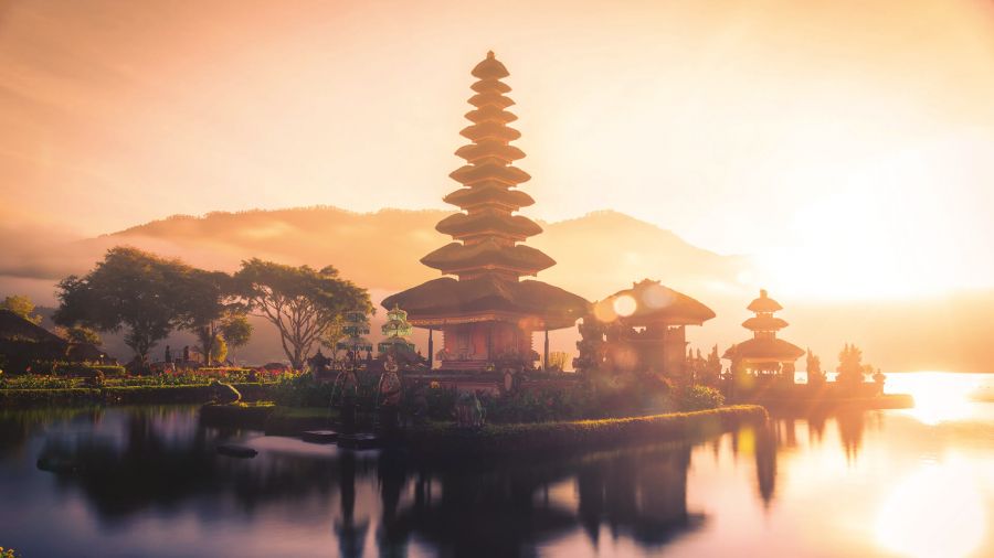 Volunteer in Bali image