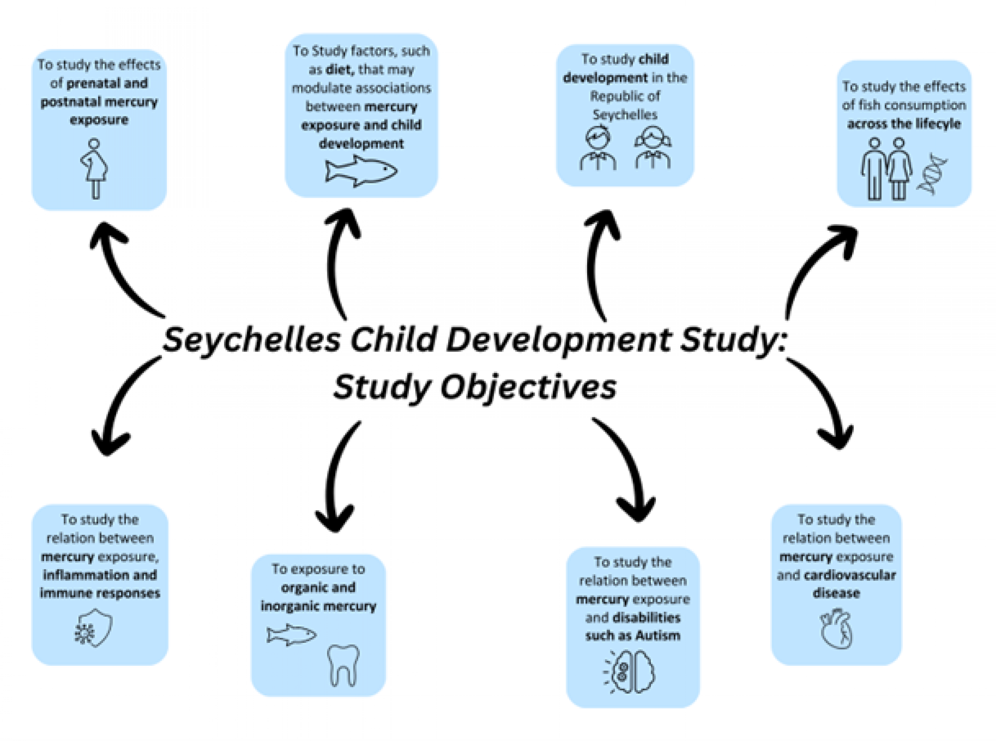 Seychelle's Child Development Study Objectives