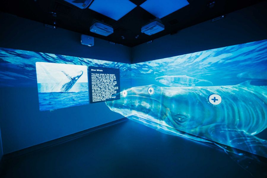 Ulster University Launches Immersive Learning Suite to Enhance Education and Community Engagement image