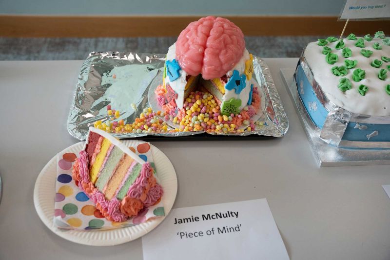 (Winner) Piece of Mind - Jamie McNulty, Faculty of Life and Health Sciences 