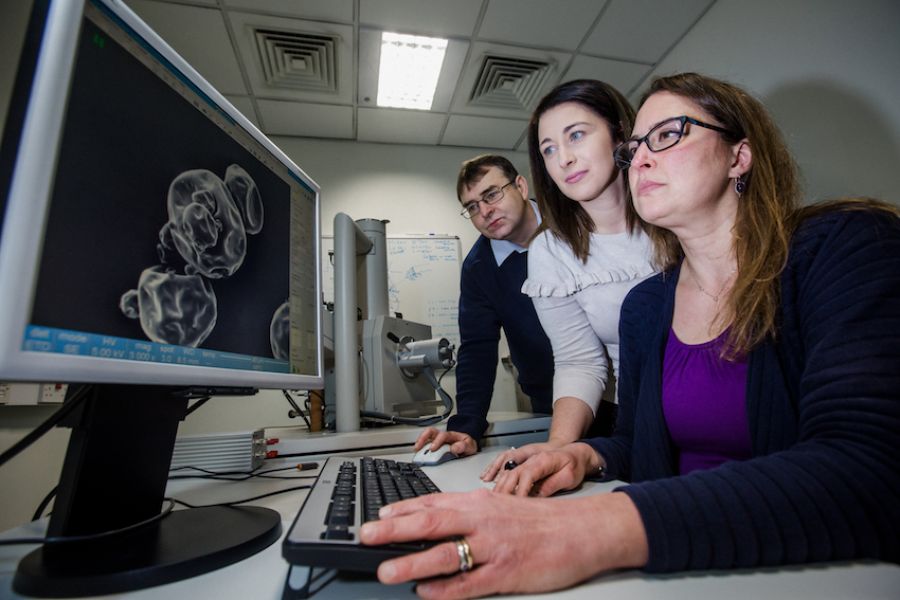 New research aims to increase dairy industry competitiveness image
