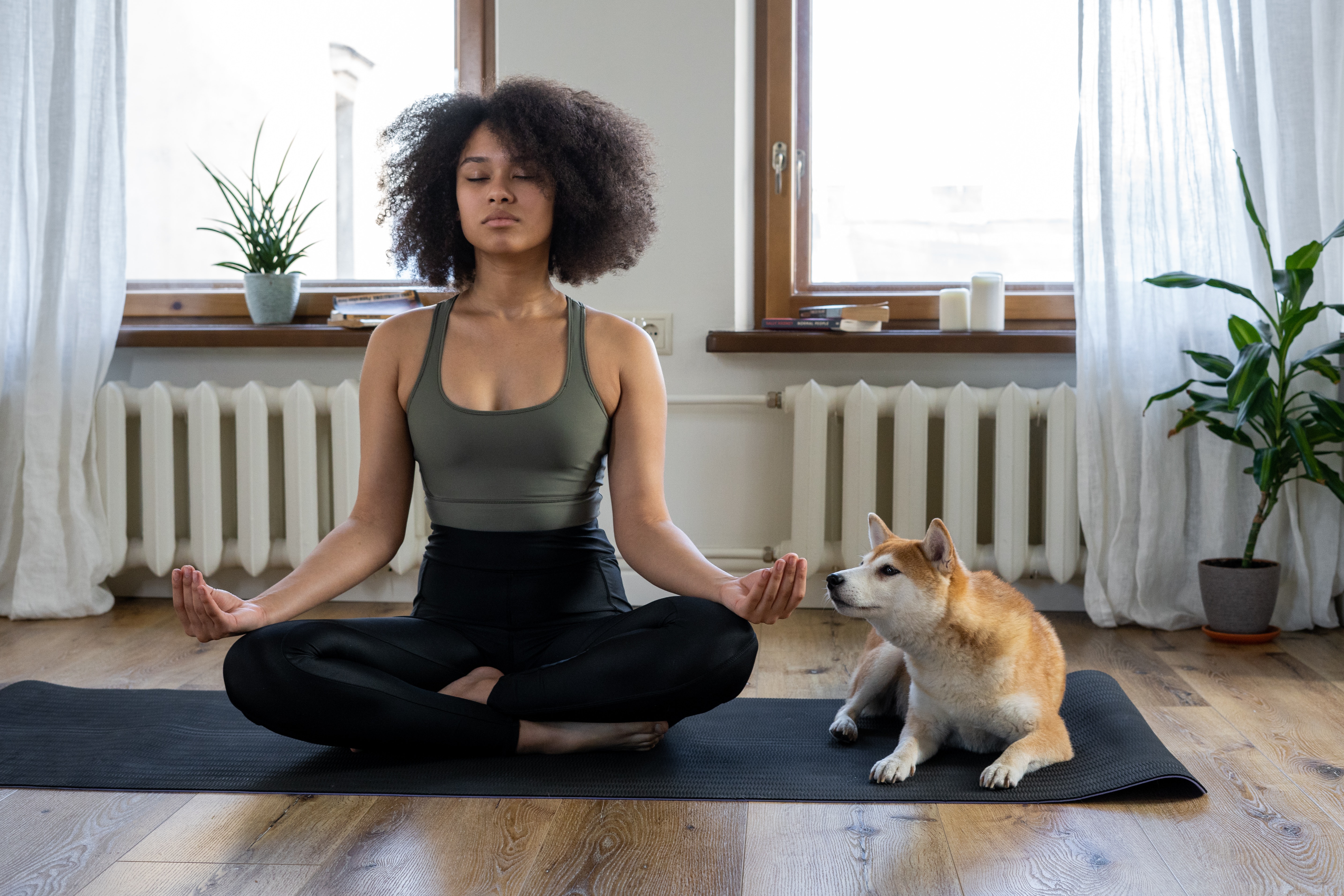 Girl doing Yoga on a mat beside a dog