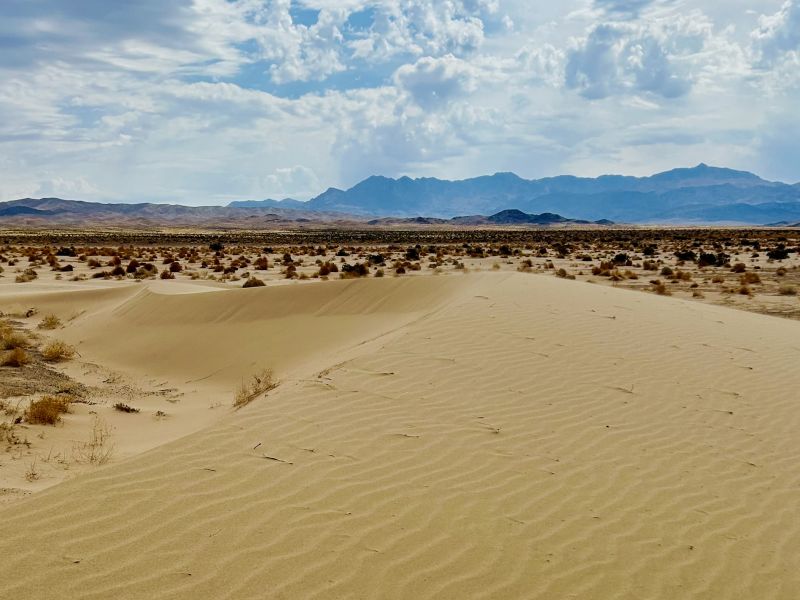 (Runner Up) Earth to Mars: ​How Far Can Curiosity Take You? - Varsha Natarajan, School of Geography and Environmental Sciences