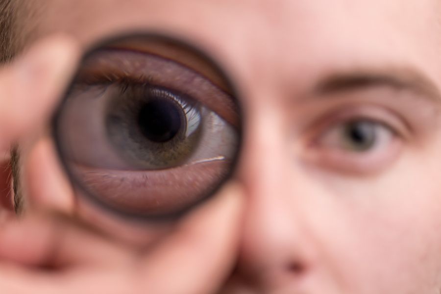 Eye, Eye! NI Science Festival image