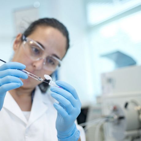 PhD Opportunities