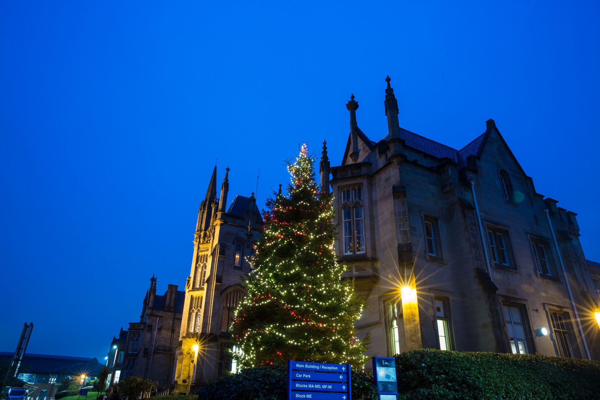A lit up Christmas tree outside the Martha Magee building in Derry~Londonderry in the evening