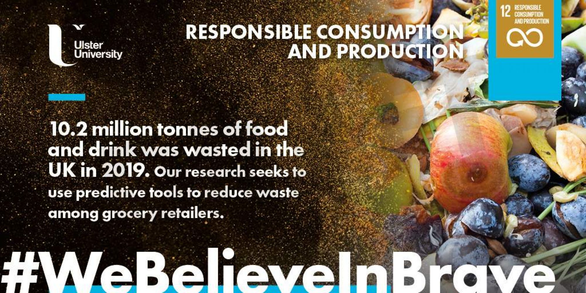Sustainability Goal Number 12 - Responsible Consumption and Production