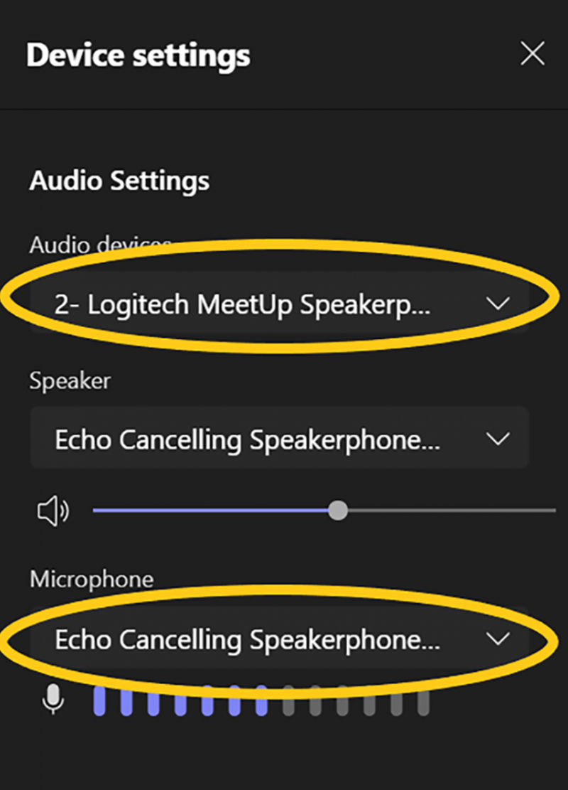 Screenshot image of audio settings screen