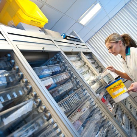 PhD Opportunities