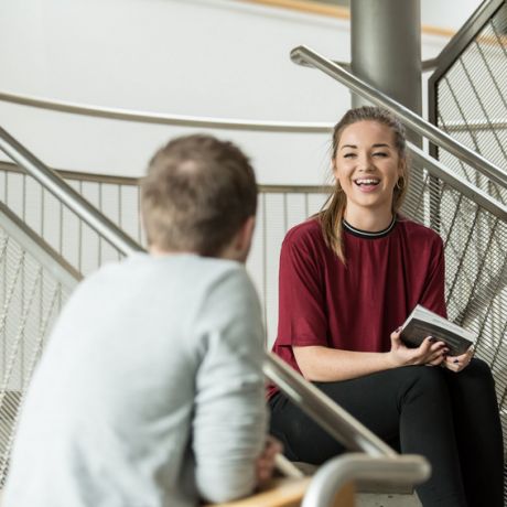 The Ulster University Student Wellbeing Study