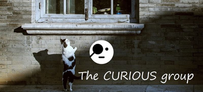 Curious Group