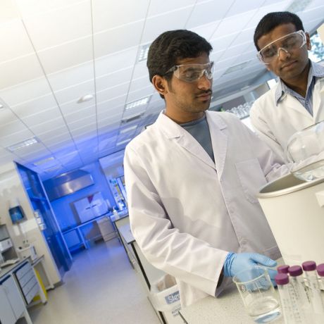 Postgraduate study in School of Biomedical Sciences