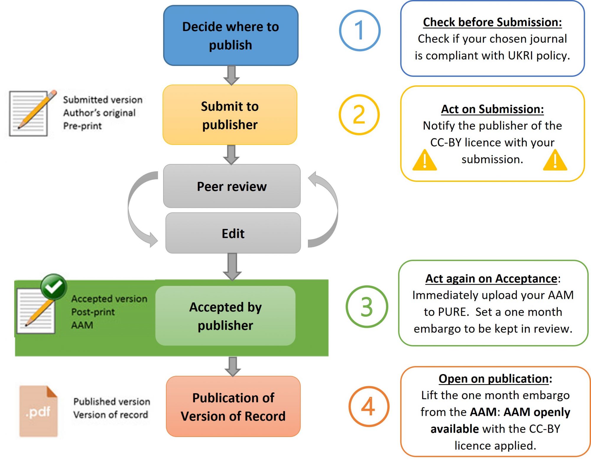 Infographic