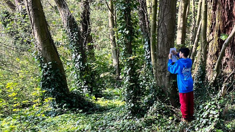 Architects of Change Phase 3