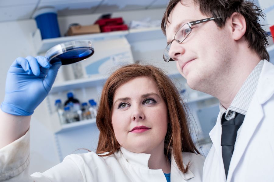 Research & Impact in the News image